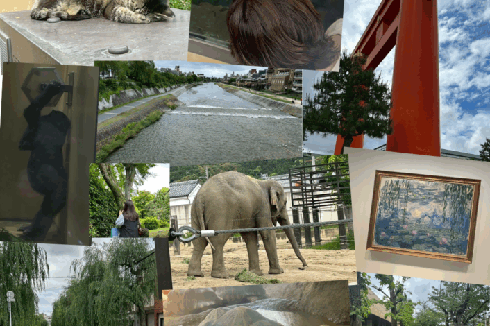 休日に動物園～🐘