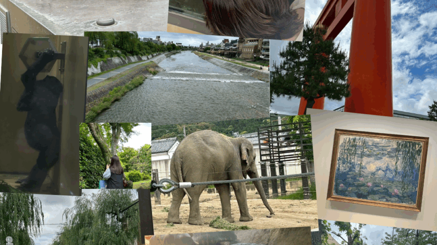 休日に動物園～🐘