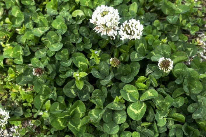 🍀公園でのひととき🐤🌸